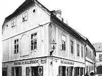 Dolac 1913. godine, krčma K Malnerić